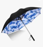 FanBrella