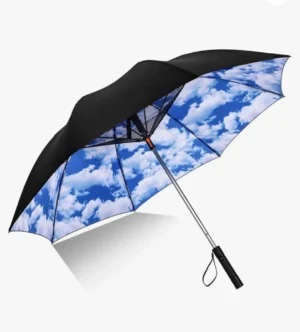 FanBrella
