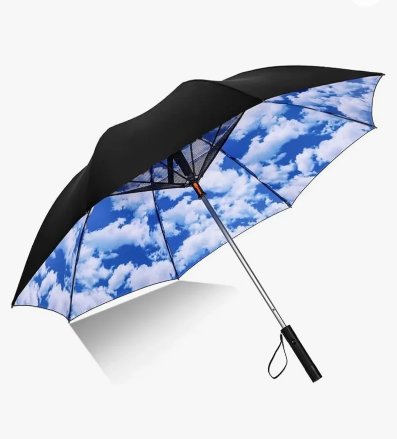 FanBrella