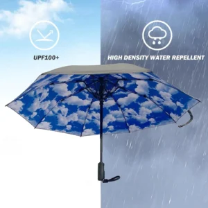 FanBrella2