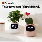 Ivy - Smart Planter