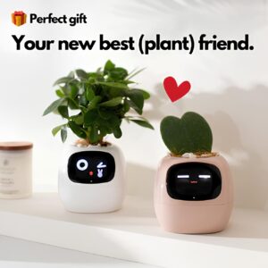 Ivy - Smart Planter