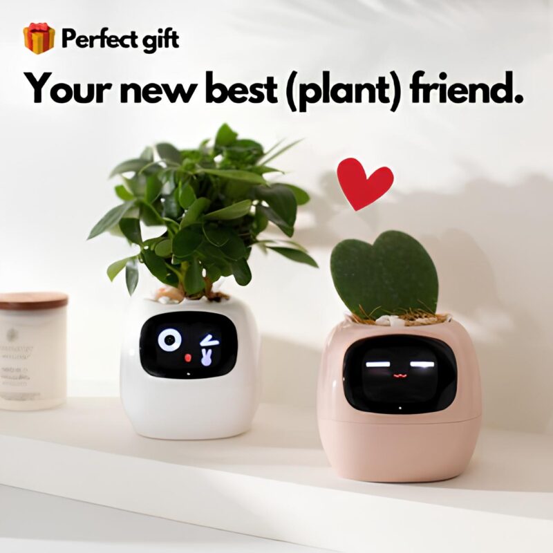 Ivy - Smart Planter