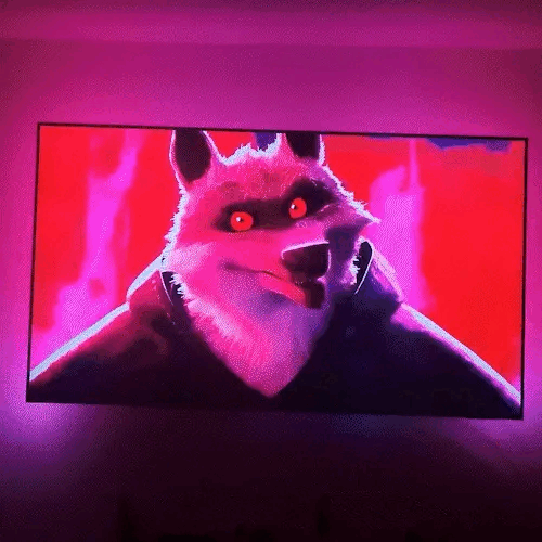 TV Sync LEDs 12 TV Sync LEDsgif2